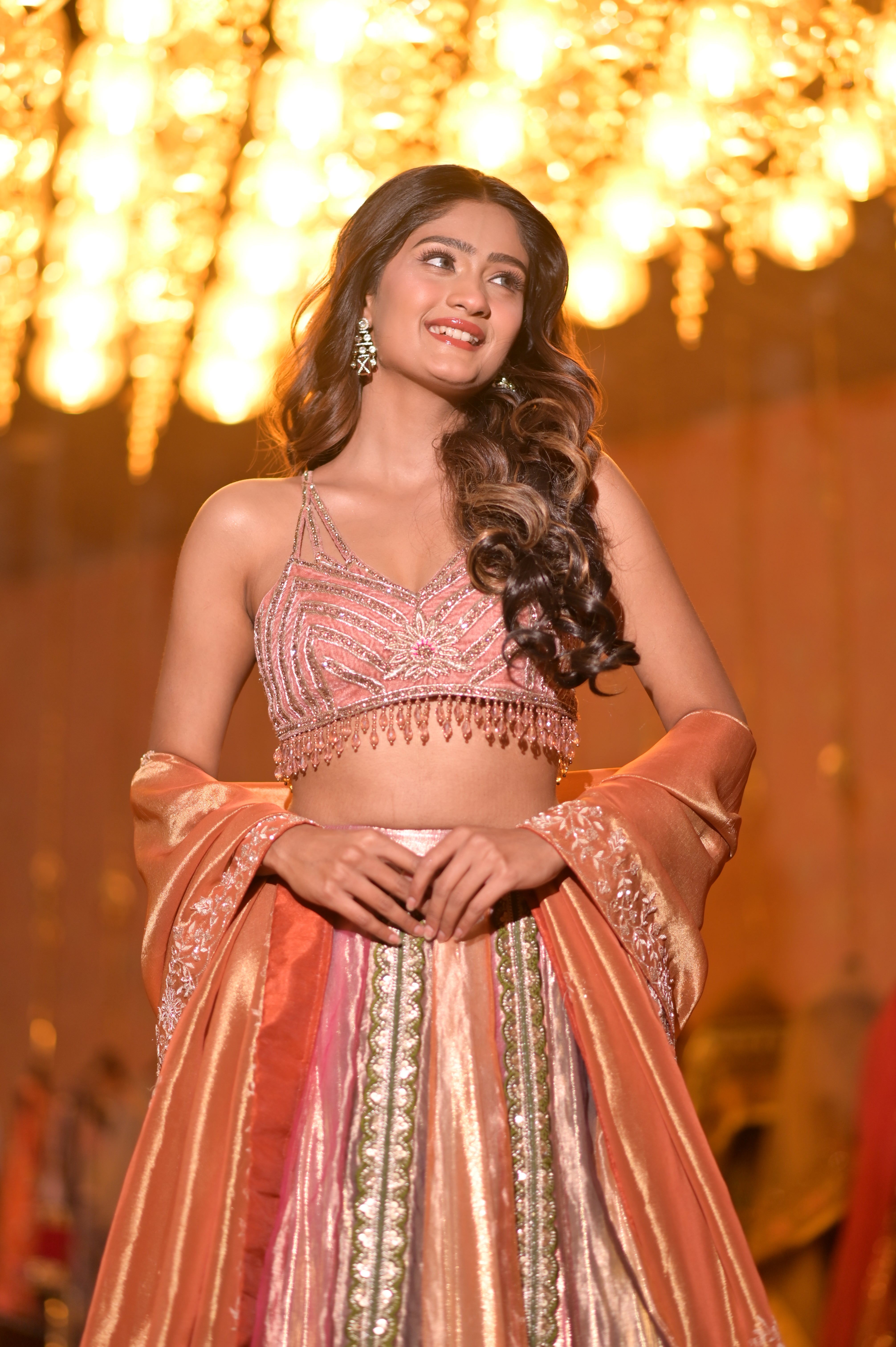 Multi color embroidered lehenga set