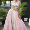 Pastel Coloured Lehenga